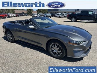 Used 2019 Ford Mustang Premium w/ Equipment Group 201A image 1