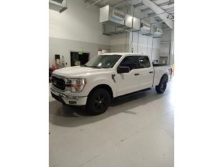 Certified 2022 Ford F150 XLT w/ Equipment Group 301A Mid image 1