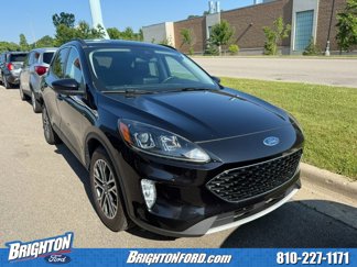Used 2020 Ford Escape SEL image 1
