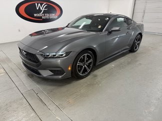 Used 2024 Ford Mustang Coupe image 1