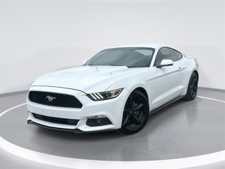 Used 2016 Ford Mustang Coupe w/ Equipment Group 051A image 1
