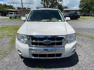 Used 2011 Ford Escape Limited w/ 302A Rapid Spec Order Code image 1