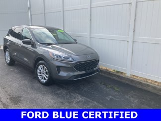 Used 2022 Ford Escape SE w/ Convenience Package image 1
