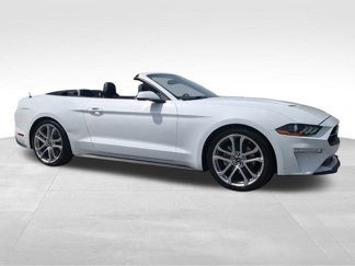 Certified 2019 Ford Mustang Premium w/ Pony Package image 1