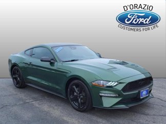 Used 2022 Ford Mustang Coupe w/ Equipment Group 101A image 1