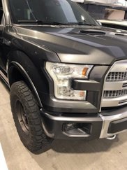 Used 2016 Ford F150 Platinum w/ Equipment Group 701A Luxury image 1