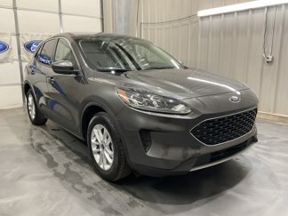 Used 2020 Ford Escape SE image 1