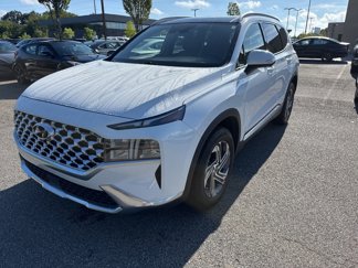 Used 2023 Hyundai Santa Fe SEL w/ Premium Package image 1