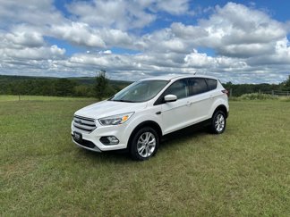 Used 2019 Ford Escape SE image 1