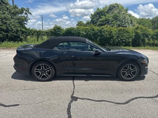 Used 2019 Ford Mustang Premium image 1