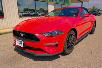 Used 2022 Ford Mustang Premium image 1