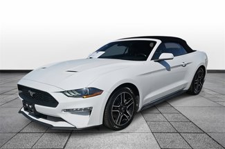 Used 2022 Ford Mustang Premium image 1