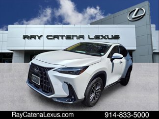 Certified 2023 Lexus NX 350 AWD w/ Premium Package image 1