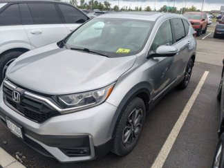 Used 2020 Honda CR-V EX-L image 1