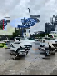 New 2025 Ford F150 XLT w/ Equipment Group 301A Standard image 1