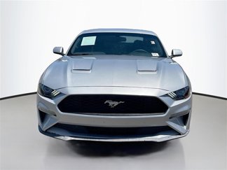 Used 2019 Ford Mustang Coupe image 1