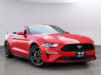 Used 2023 Ford Mustang Premium image 1