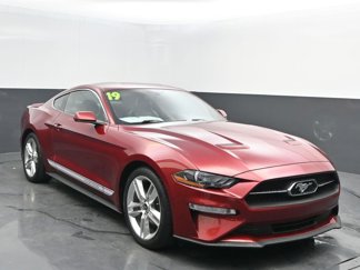 Used 2019 Ford Mustang Premium w/ Pony Package image 1