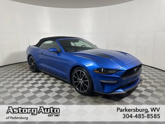 Used 2020 Ford Mustang Premium w/ Equipment Group 201A image 1
