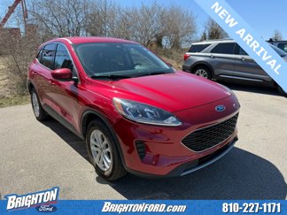 Used 2020 Ford Escape SE image 1