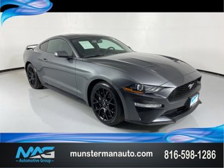 Used 2019 Ford Mustang Coupe w/ Ecoboost Performance Package image 1