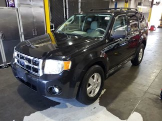 Used 2011 Ford Escape XLT w/ Cargo Pkg image 1