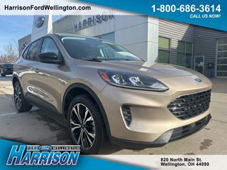 Used 2021 Ford Escape SE w/ SE Sport Appearance Package image 1