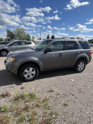 Used 2012 Ford Escape XLT image 1