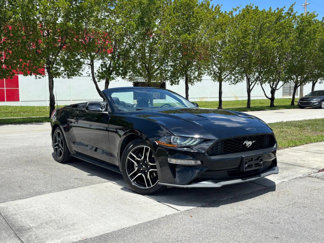 Used 2019 Ford Mustang Premium image 1
