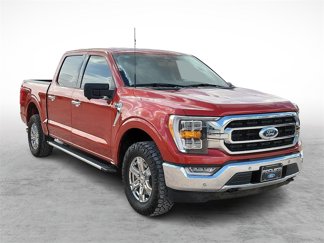 Used 2023 Ford F150 XLT w/ Equipment Group 302A High image 1