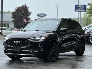 Used 2023 Ford Escape ST-Line Elite image 1