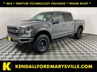 Used 2018 Ford F150 Raptor image 1