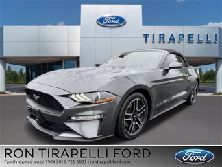 Used 2020 Ford Mustang Premium image 1