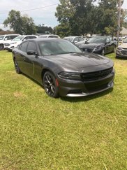 Used 2020 Dodge Charger SXT w/ Blacktop Package image 1