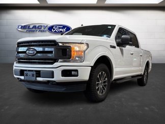 Used 2019 Ford F150 XLT w/ Equipment Group 302A Luxury image 1