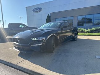 Used 2019 Ford Mustang Coupe w/ Equipment Group 101A video 1
