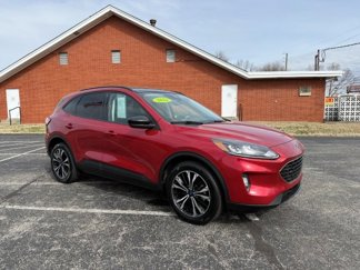 Used 2022 Ford Escape SEL w/ SEL Stealth AWD Package image 1
