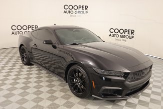 Used 2024 Ford Mustang Coupe w/ Mustang Nite Pony Package image 1