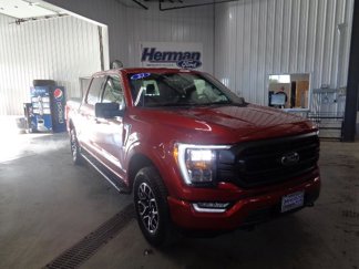 Certified 2023 Ford F150 XLT w/ Equipment Group 302A High image 1
