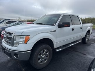 Used 2014 Ford F150 XLT image 1