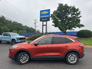 Used 2020 Ford Escape SE image 1