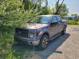 Used 2014 Ford F150 FX4 w/ Equipment Group 402A Luxury image 1