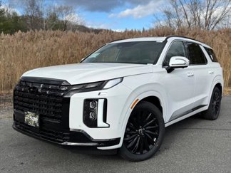 New 2025 Hyundai Palisade Calligraphy image 1