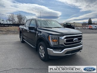 Used 2023 Ford F150 XLT w/ Equipment Group 302A High image 1