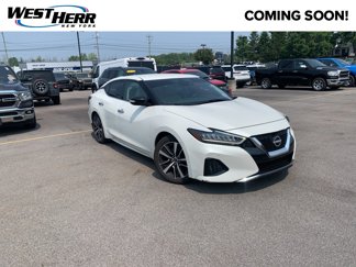 Used 2023 Nissan Maxima SV image 1