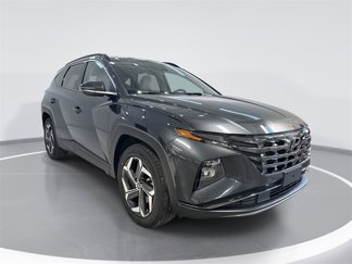 Used 2023 Hyundai Tucson Limited image 1