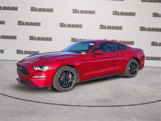 Used 2020 Ford Mustang Coupe w/ Equipment Group 101A image 1