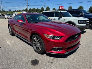 Used 2015 Ford Mustang Premium w/ Equipment Group 201A image 1