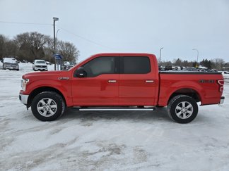 Used 2019 Ford F150 XLT w/ Equipment Group 302A Luxury image 1