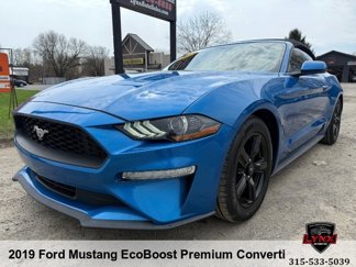 Used 2019 Ford Mustang Premium image 1